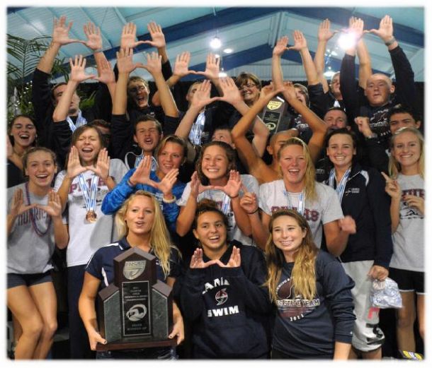 美國密棕櫚公立高中