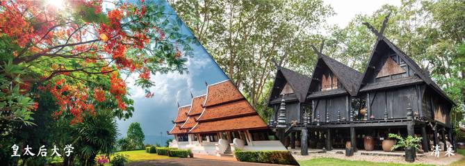 Banner-MFU-and-Chiang-Rai-1-2 (1).jpg